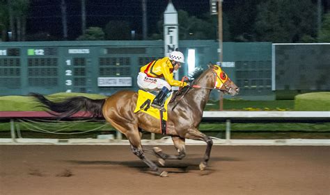 Los alamitos races today. Things To Know About Los alamitos races today. 